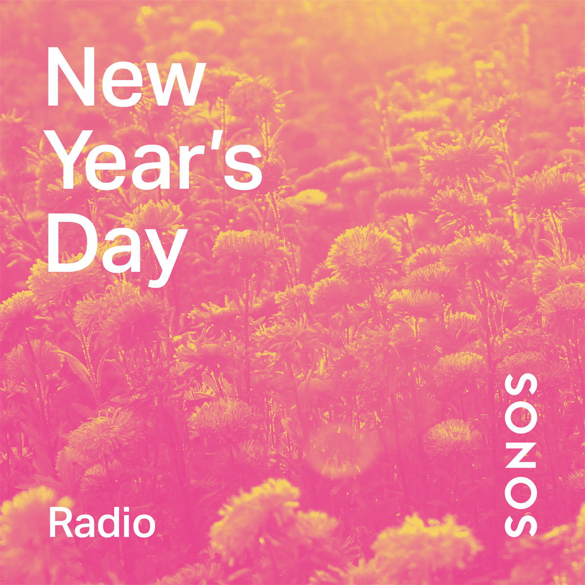 Sonos Radio New Years Day Cover
